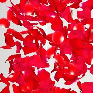 Meet your Posher, Arnella